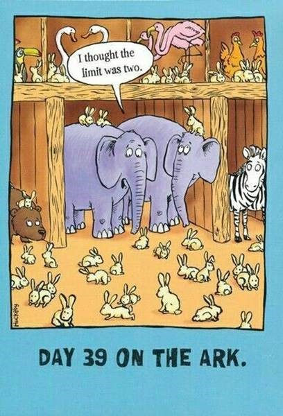 images/site/elephant.jpg