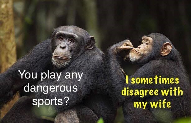 images/sports.jpg